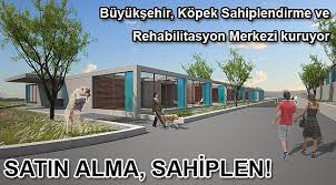 Satin Alma Sahiplen Gundem
