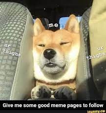 give me some good meme pages to follow give me some good meme pages to follow cute animals cute dogs pets