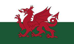 The story of wales is long and, at times, confusing. Welsh Flag For Sale Outdoor Quality Mrflag