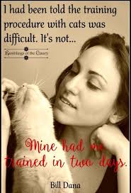 Now we have to talk about our relationship 🐈‍⬛🐾🐾