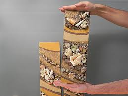 Art Seashell Wall Decor Bathroom Home Design Ideas Fresh Seashell Wall Decor Bathroom