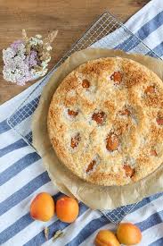 100 g zucker 2 eier 35 ml neutrales öl 150 g mehl 1 tl backpulver 100 ml kokosmilch Aprikosen Kokos Kuchen Sommerlicher Ruhrkuchen