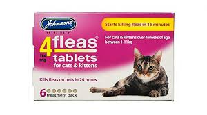 De jong you can also apply insecticide according to the manufacturer's instructions or contact a professional exterminator to treat the house and yard. Best Cat Flea Treatment Keep Your Cat Pest Free From Just 4 Expert Reviews
