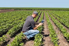 First Generation Farmers Carry The Torch For Agriculture Farm Flavor Agriculture Farmer Farming Technology