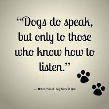 Check spelling or type a new query. Pawprints Dog Rescue Uk Pdrescue Twitter