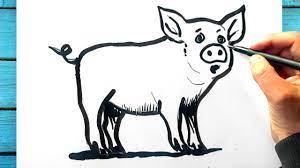 Tuto dessin cochon facile, Comment dessiner un cochon facile - YouTube