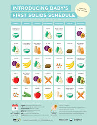 Image result for Solid Food Introduction in Infants