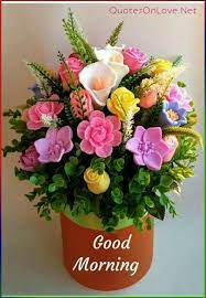 Flower bouquet good morning flowers pictures for whatsapp. Good Morning Images Good Morning Flowers Good Morning Flowers Pictures Good Morning Beautiful Flowers