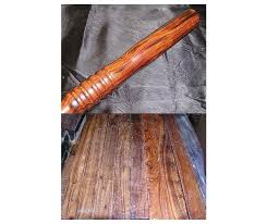 Image result for Spirostachys