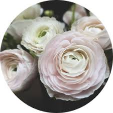 Monique Galarneau, avis de décès et nécrologie