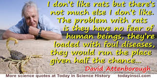 There was no radio, no ways of communicating. Sir David Attenborough Quotes 57 Science Quotes Dictionary Of Science Quotations And Scientist Quotes