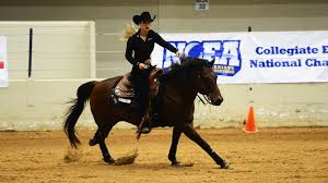 NCEA CHAMPIONSHIP QUARTERFINAL RECAP