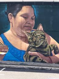 Stephanie Chaves Señorita Gato Photography Series