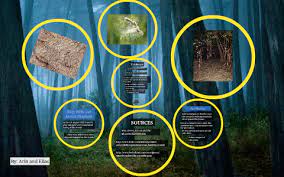 Holly wells and jessica chapman bodies found. Holly Wells And Jessica Chapman By Arin Everett On Prezi Next