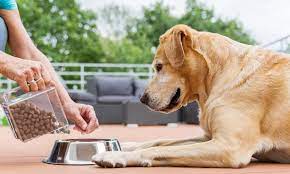 Find out which dog foods are the healthiest for your pet. 4health Dog Food Reviews