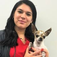 20+ "Steullet" profiles