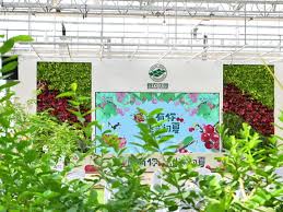 都视频| 夏日的第一口甜，藏在首农庄园！_北京日报网