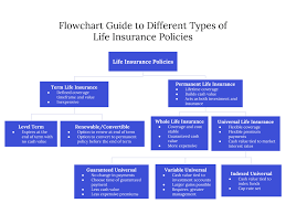 understanding the different types of life insurance policies