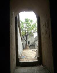 The Forgotten Sewri Fort, Mumbai