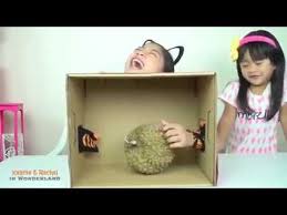 What S In The Box Challenge Kaycee Rachel In Wonderland Box Challenge Challenges Youtube