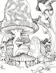 Pin On Gnomes And Mushrooms