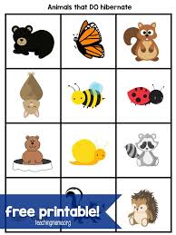 Hibernation Activities For Preschoolers Hibernation Activities Hibernation Preschool Activities Animals That Hibernate