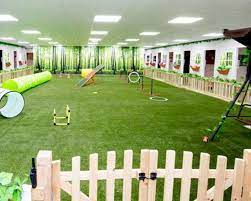 The 9 Poshest Pet Hotels In The Uk Dog Boarding Boarding A Puppy Long Term Dog Boarding Pet Servic Dog Boarding Facility Dog Hotel Dog Boarding Kennels