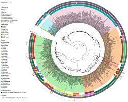 On the other hand, if you are interested. A Comprehensive Classification Of Coronaviruses And Inferred Cross Host Transmissions Biorxiv