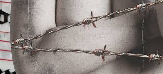 Informatiile de mai jos desi sunt scrise de medici sau studenti la medicina au caracter orientativ. Dureri De Sani Ce Le Cauzeaza Si Cum Se Pot Trata Mami Si Copilul