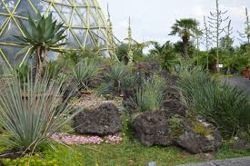 Botanischer Garten Dusseldorf