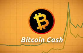 The bitcoin mining process provides bitcoin rewards to miners, but the reward size is decreased periodically to control the circulation of new tokens. Bitcoin Cash Trades Downwards Will It Stay Out Of Bear Grip