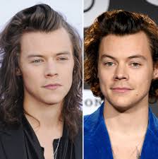Because hair grows fast and reaches different stages quickly, consulting a professional to keep your. Every Single Harry Styles Haircut From 2011 To 2020 Photos Allure