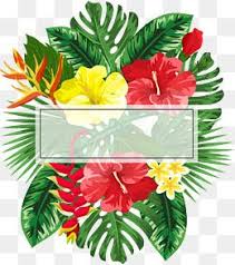 ناقلات بابوا نيو غينيا Png المتجهات Psd قصاصة فنية تحميل مجاني Pngtree Frame Decor Flower Frame Digital Flowers
