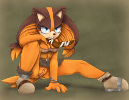 Post 1379928: Sonic_Boom Sonic_the_Hedgehog_(series) Sticks_the_Badger Zraxi