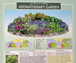 Aromatherapy Garden Seed Collection