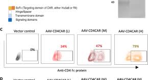 Most of the indian doctors are famed throughout the world for their commitment and skills. 41bvycs7etsnnm