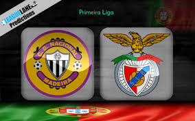 Amateur sports team · birrita. Nacional Vs Benfica Predictions Tips Match Preview