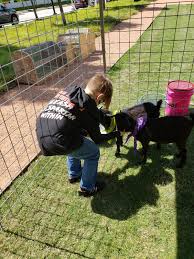 Great for kids parties, fairs, or professional events. Oba Farms Mobile Petting Zoo Dallas Texas Mobile Petting Zoo Party Dallas Tx Farm Animal Petting Zoo Dallas Fort Worth Texas Farm Animals