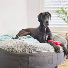 Maybe you would like to learn more about one of these? Pet Beds Dog Beds Designer Dog Bean Bags Grey Extra Large Size