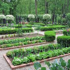 Planning A Kitchen Garden Garden Layout Vegetable Garden Layout Small Vegetable Gardens