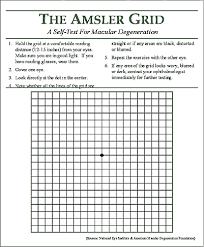 amsler grid eye chart