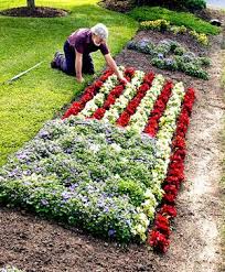 Pin By Bunnyhop Beauty Shop On Outside Decor And Flowers Blue Flowers Garden White And Blue Flowers Flowers