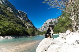 verdonschlucht mit hund der fischerweg verdonschlucht provence urlaub ausflug