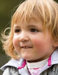 CHIEF MEDICAL HEALTH OFFICER'S HEALTH STATUS REPORT ON