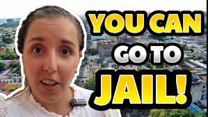 Our aloe fields in the Dominican Republic