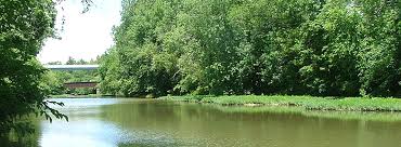 Enjoy your morning coffee on the deck with the birds and squirrels in the trees. Paint Creek State Park Outdoorsy