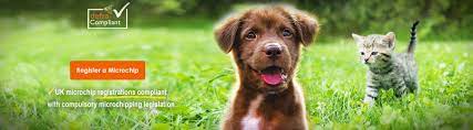 Direct microchip registration has a one off fee from just £8.95, or you can register for free if you have a premium animal tracker account. Uk Pet Microchip Registration Database Microchip Central Database