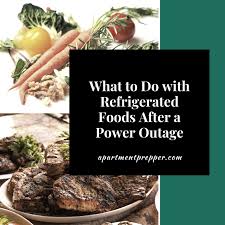 If The Power Goes Out What Should You Do With Refrigerated Or Frozen Food After The Power Outage Here S What To Keep And In 2020 Refrigerated Foods Power Outage Food