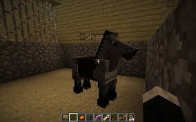 We now support 3 types of mcpe server voting! 10 Equine Addicts Minecraft Server Ideas Equines Equestrian Minecraft