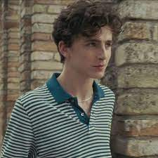Timothee Chalamet Call Me By Your Name Elio Perlman Celebrity Film Timothee Chalamet Timmy T